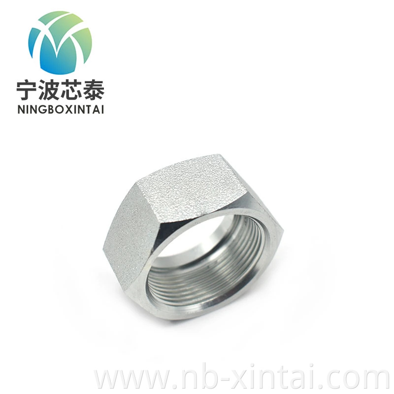 Carbon Steel Forging Hydraulic Connecter Fitting Silver Zinc Plate Female Bolt and Retaining Nuts